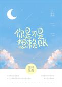 你是不是想赖账小说讲的什么
