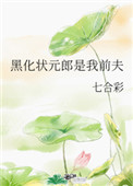 黑化状元是我前夫 小说