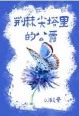荆棘尖塔里的公爵txt