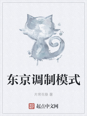 东京调制模式小说