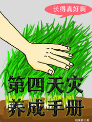 第四天灾玩家流大全