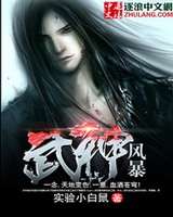 武神风暴无错字完整版