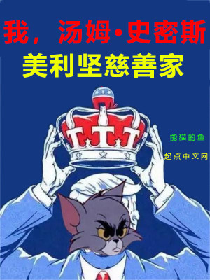 美利坚慈善家小说