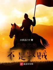 三国之我真不是诸葛卧龙