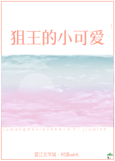 狙击王小说