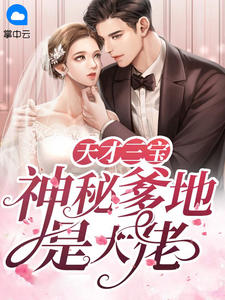 风千雪夜震霆的小说