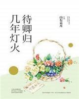 几年灯火待卿归作者:山有嘉卉