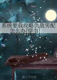 系统要我攻略仇敌男配怎么办小说