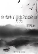 穿成瞎子男主的短命白月光全文免费阅读