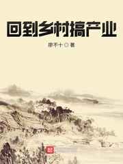 回到农村去