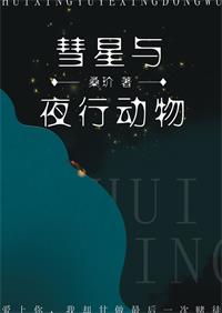 彗星与夜行动物全文
