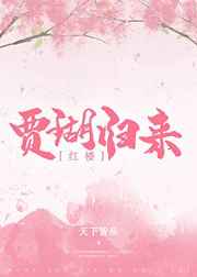 贾瑚归来小说吧