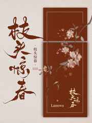枝头惊春lenovo趣书网