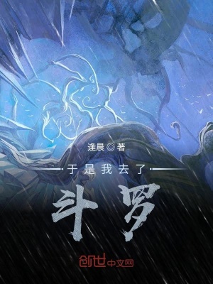 于是我去了斗罗大陆小说