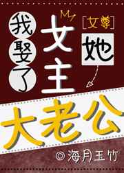 我娶了女主她大老公