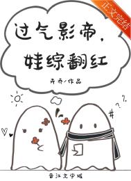娃综翻红95集