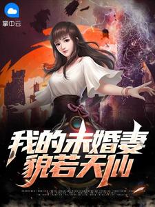 我的八个未婚妻美若仙大结局什么意思