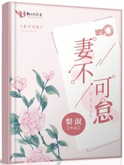 妻不可欺讲解