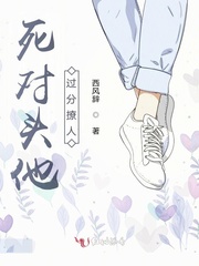 死对头他过分撩人免费阅读