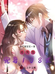 全本免费陆先生宠妻无度小说