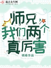 我们师兄实在太高冷 小说