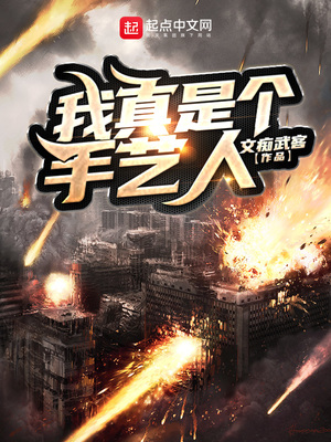 我只是一个手艺人笔趣阁