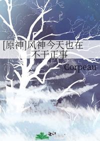 原神风神原来的样子