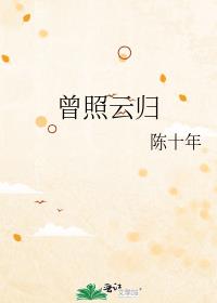 曾照云归陈十年免费阅读笔趣阁