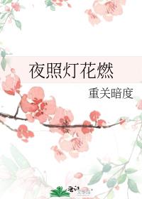 夜照灯花燃TXT