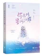 你来时星河闪耀小说番外