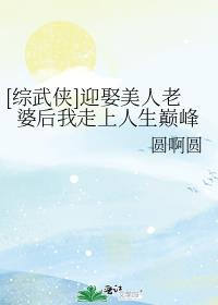 综武侠迎娶美人老婆后我走上人生巅峰百度网盘