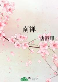 南禅小说讲了什么内容
