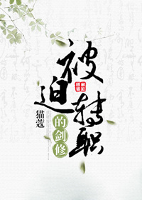 被迫转职的剑修晋江
