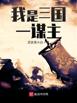 三国第一谋主 小说