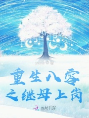 重生八零小后妈发家致富忙