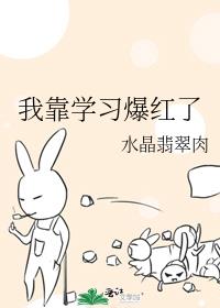 我靠武力爆红了