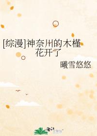 神奈川的木槿花开了免费阅读