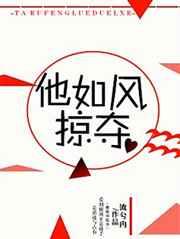 他如风掠夺类似小说