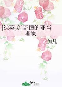 综英美哥谭的亚当斯家