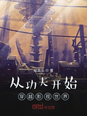 穿越功夫瑜伽世界小说