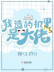 我造的机甲是大佬完结