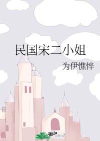 小说民国宋二小姐