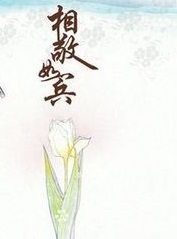 相敬如宾免费阅读