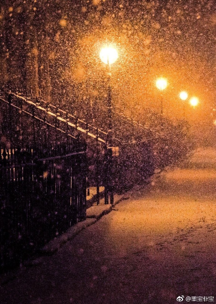 在暴雪时分简介