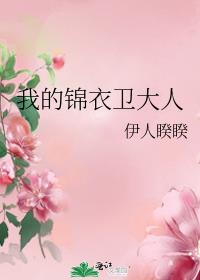 我的锦衣卫大人txt百度云