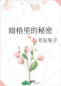 暗格里的秘密女主角是谁