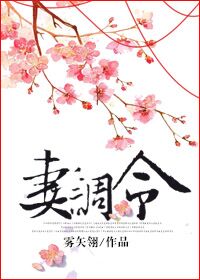 妻调令免费阅读无弹窗晋江
