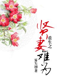 重生之贤妻难为百度云