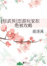 [综武侠]恋游玩家拒绝被攻略