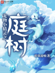 口袋之数据大师